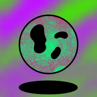 6626
