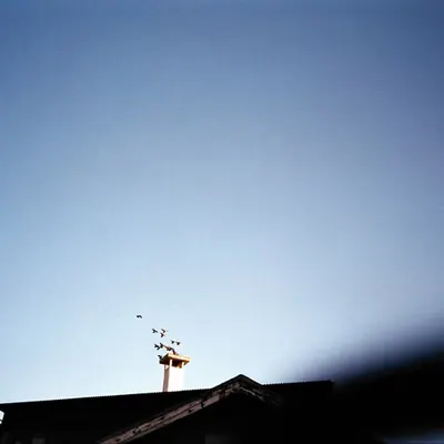 AAA005A - 35mm film scan from 2016