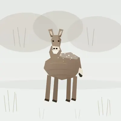 Mule Deer