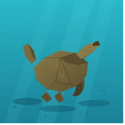 Sea Turtle