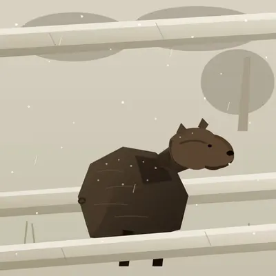 Grizzly Bear