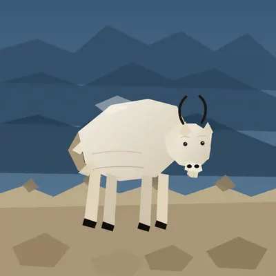 Mountain Goat