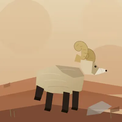 Bighorn Ram