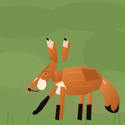 Red Fox