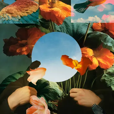 Nature remix