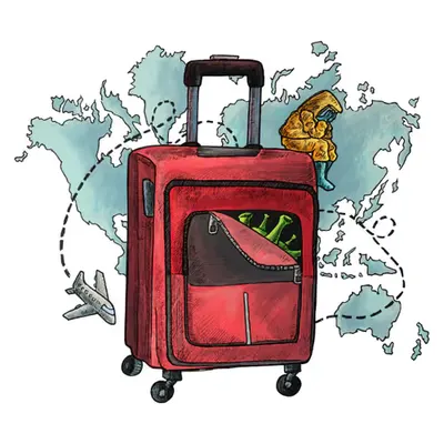 Export - DT2020