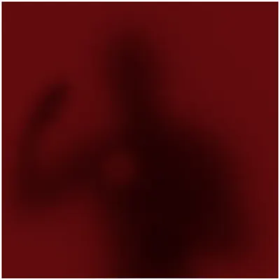 Phantom
