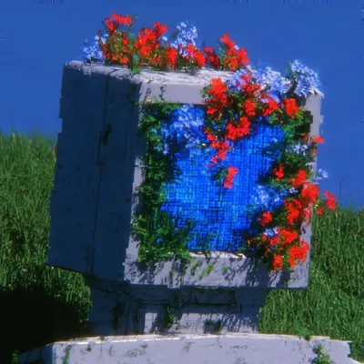 Bloom_34
