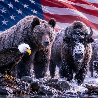 Guardians of America