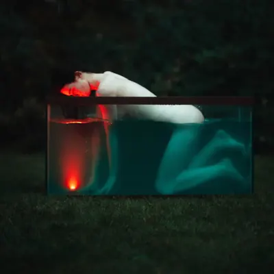 Contained #8