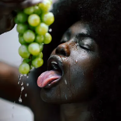 "In Vitro Vitis"