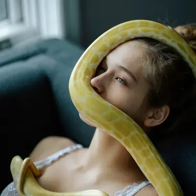 "Silent Serpent"