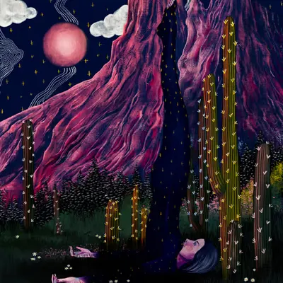 Midnight Metamorphosis