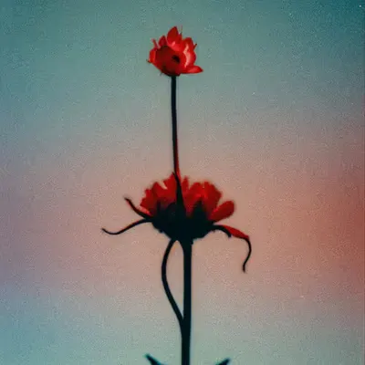 Red Soul Touches #3