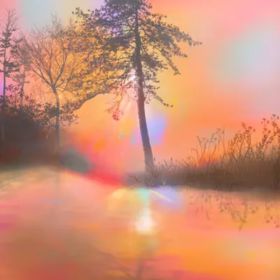 orange grief;