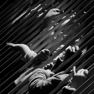Liberate