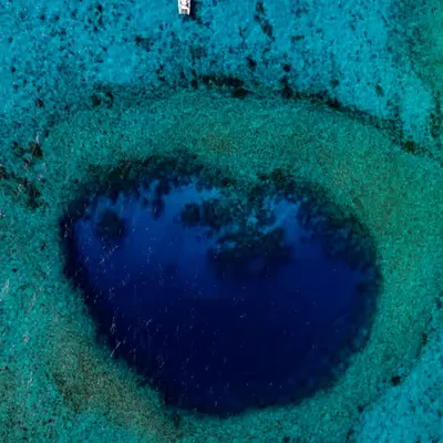 The Void