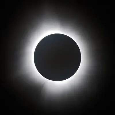 Coronal Revelations