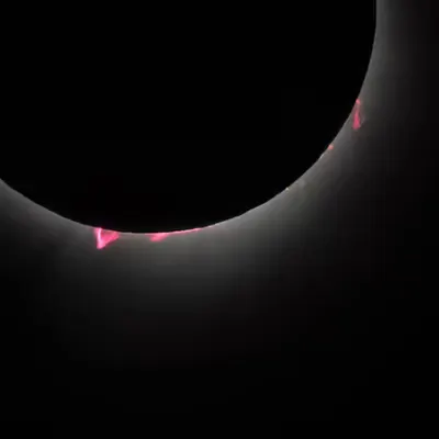 The Dark Lord