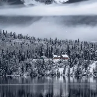 Fortitude