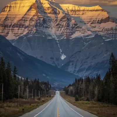 The Road to 100