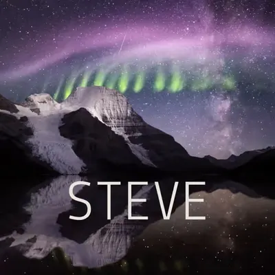 Steve