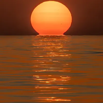 Omega Sun