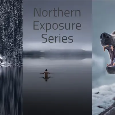 Northern Exposure Series