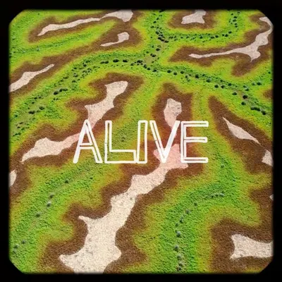 Alive