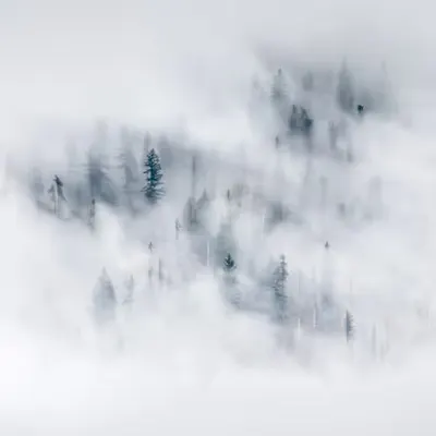 Veil