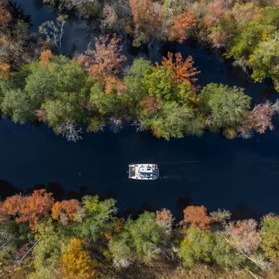 The Great Dismal Swamp