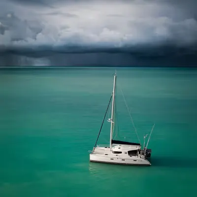 Weather the Storm