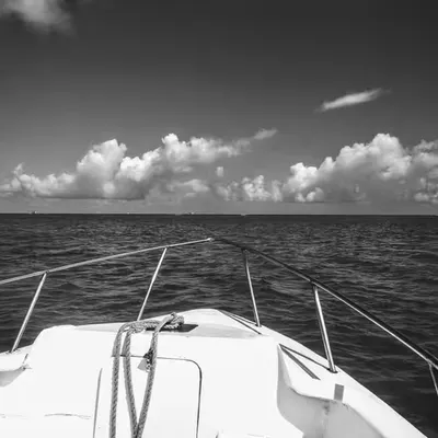 Anchor Audacity