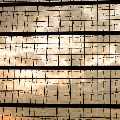 Parallel Infinities