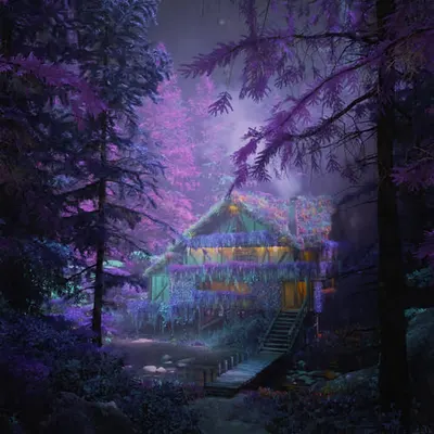 Mystic Swamp Forest