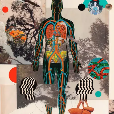 We're all connected