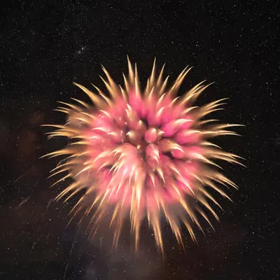 Sky Flower