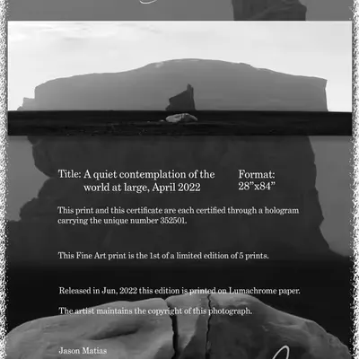 COA - A quiet contemplation of the world at large