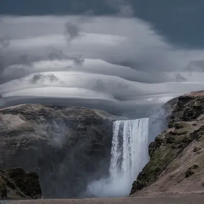 A quiet suggestion of the world in motion