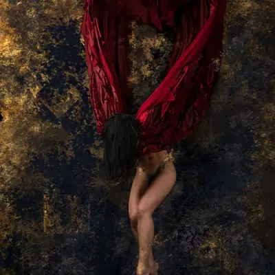 Midnight Dove