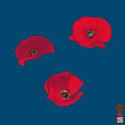 poppies