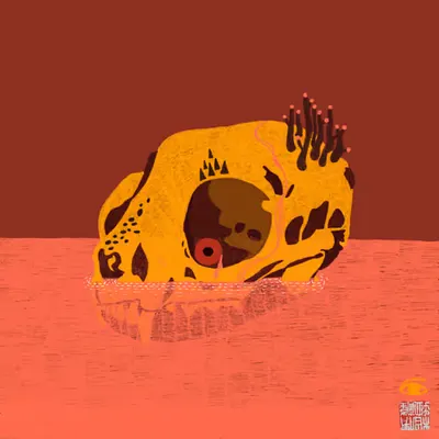 CatIsland