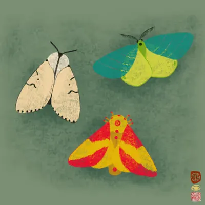 mothsnight
