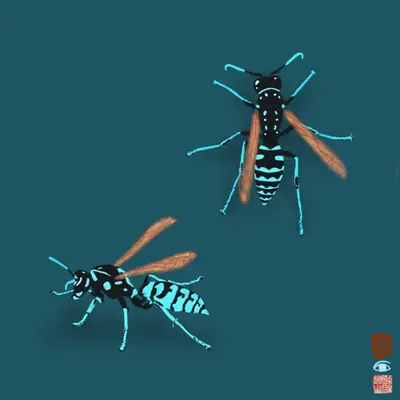 neonwasp