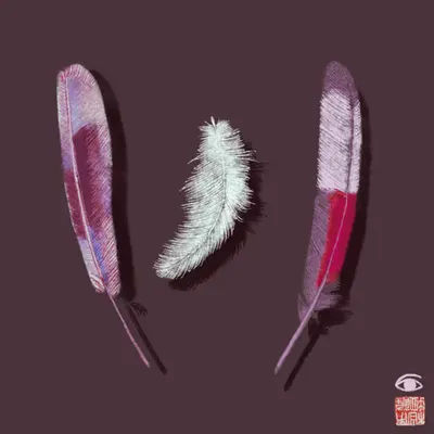 feathers