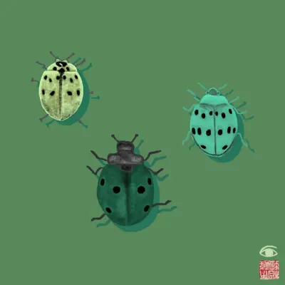 ladybugs