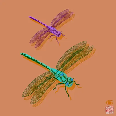 dragonflies