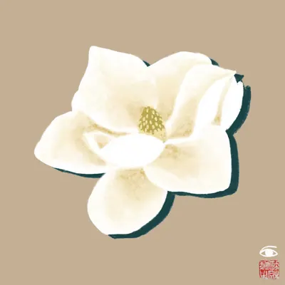 magnolia