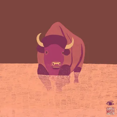 ComingBison