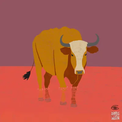 SacredCow